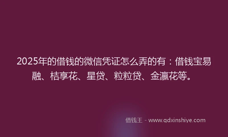 2025年的借钱的微信凭证怎么弄的有：借钱宝易融、桔享花、星贷、粒粒贷、金瀛花等。