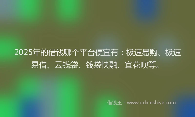 2025年的借钱哪个平台便宜有：极速易购、极速易借、云钱袋、钱袋快融、宜花呗等。