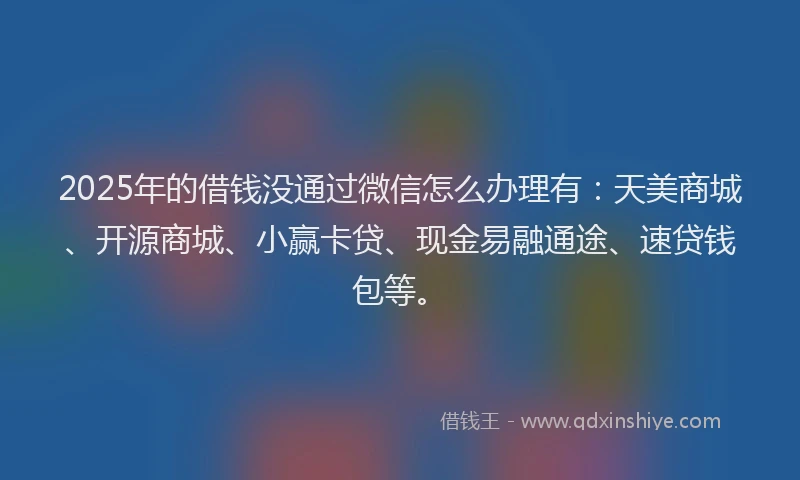 2025年的借钱没通过微信怎么办理有：天美商城、开源商城、小赢卡贷、现金易融通途、速贷钱包等。