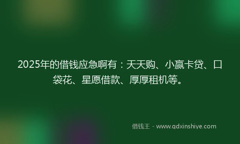 2025年的借钱应急啊有：天天购、小赢卡贷、口袋花、星愿借款、厚厚租机等。