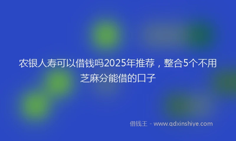 农银人寿可以借钱吗2025年推荐，整合5个不用芝麻分能借的口子