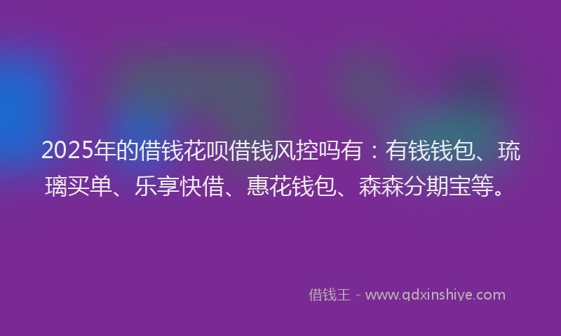 2025年的借钱花呗借钱风控吗有：有钱钱包、琉璃买单、乐享快借、惠花钱包、森森分期宝等。