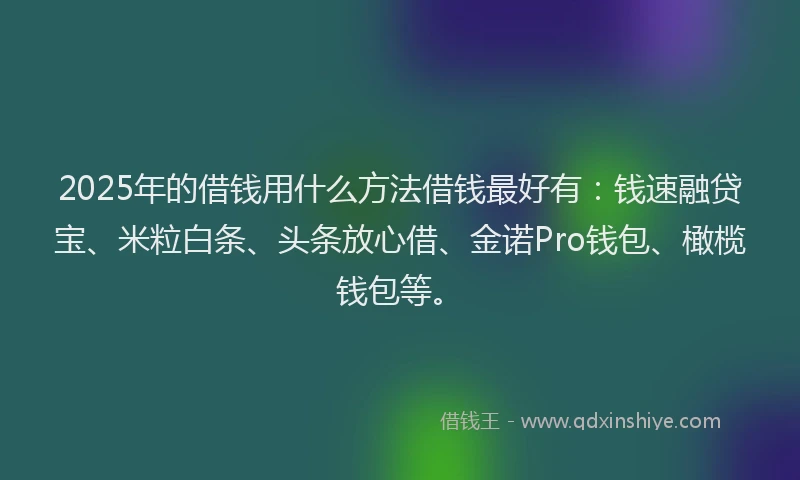 2025年的借钱用什么方法借钱最好有：钱速融贷宝、米粒白条、头条放心借、金诺Pro钱包、橄榄钱包等。