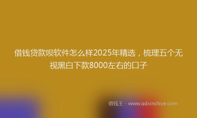 借钱贷款呗软件怎么样2025年精选，梳理五个无视黑白下款8000左右的口子