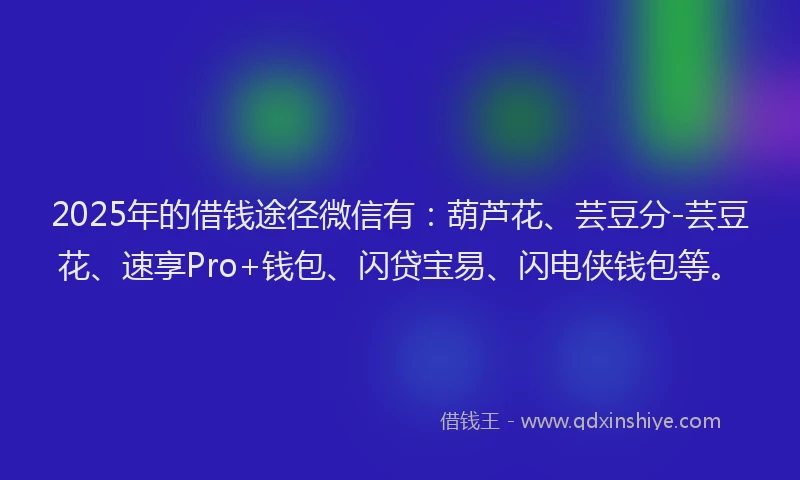 2025年的借钱途径微信有：葫芦花、芸豆分-芸豆花、速享Pro+钱包、闪贷宝易、闪电侠钱包等。