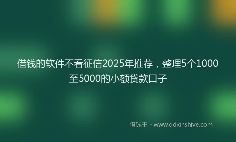 借钱的软件不看征信2025年推荐，整理5个1000至5000的小额贷款口子