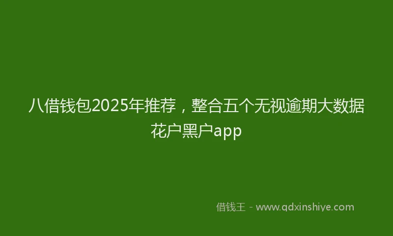 八借钱包2025年推荐，整合五个无视逾期大数据花户黑户app