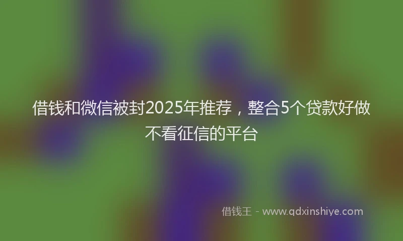 借钱和微信被封2025年推荐，整合5个贷款好做不看征信的平台