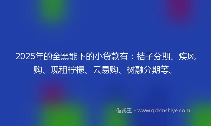 2025年的全黑能下的小贷款有：桔子分期、疾风购、现租柠檬、云易购、树融分期等。