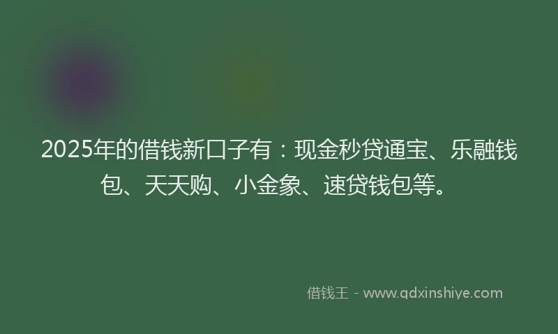 2025年的借钱新口子有：现金秒贷通宝、乐融钱包、天天购、小金象、速贷钱包等。
