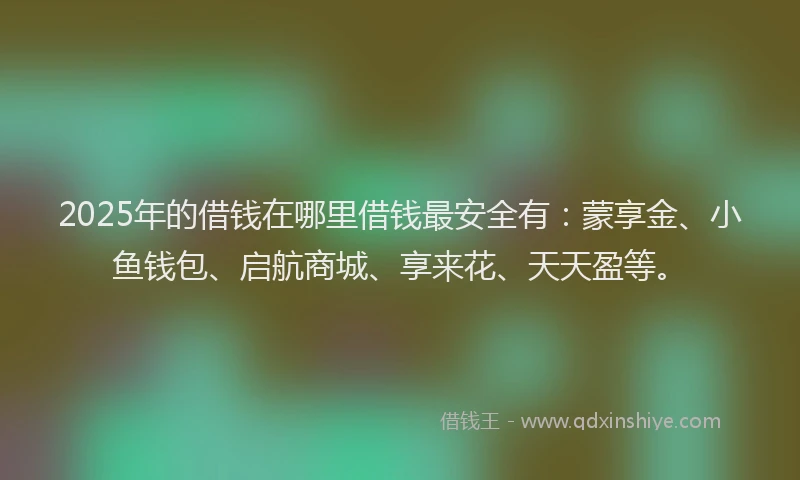 2025年的借钱在哪里借钱最安全有：蒙享金、小鱼钱包、启航商城、享来花、天天盈等。