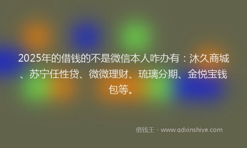2025年的借钱的不是微信本人咋办有：沐久商城、苏宁任性贷、微微理财、琉璃分期、金悦宝钱包等。
