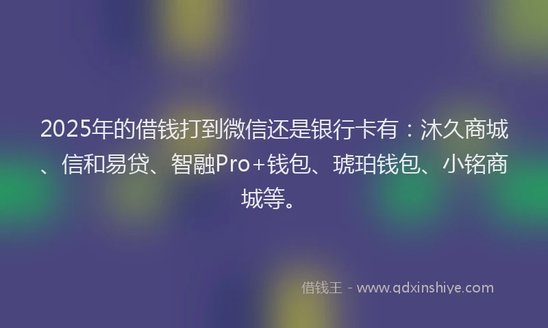 2025年的借钱打到微信还是银行卡有：沐久商城、信和易贷、智融Pro+钱包、琥珀钱包、小铭商城等。