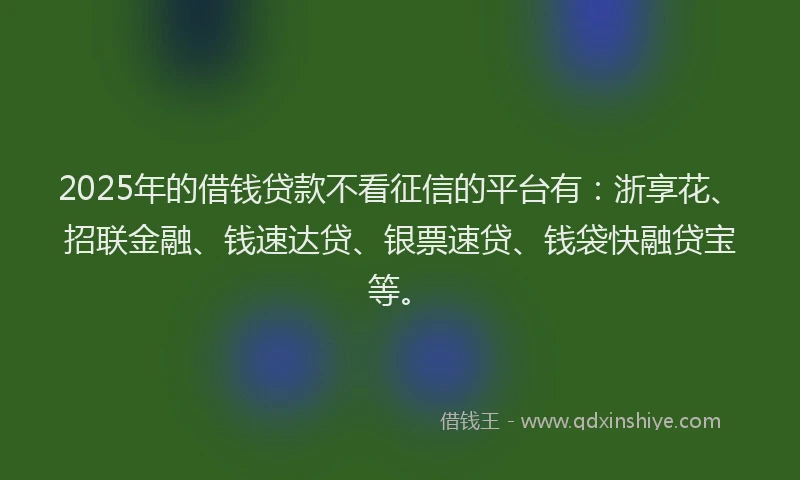 2025年的借钱贷款不看征信的平台有：浙享花、招联金融、钱速达贷、银票速贷、钱袋快融贷宝等。