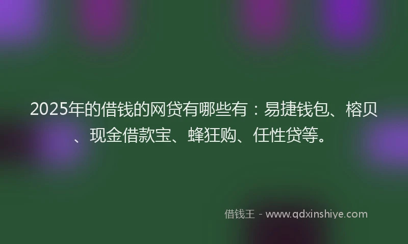 2025年的借钱的网贷有哪些有：易捷钱包、榕贝、现金借款宝、蜂狂购、任性贷等。