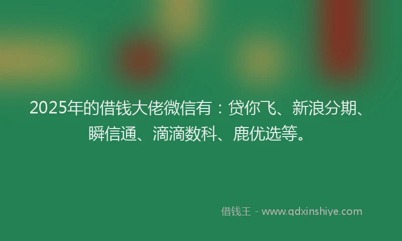 2025年的借钱大佬微信有：贷你飞、新浪分期、瞬信通、滴滴数科、鹿优选等。