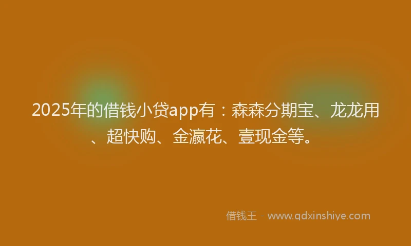 2025年的借钱小贷app有：森森分期宝、龙龙用、超快购、金瀛花、壹现金等。