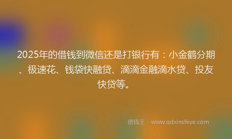 2025年的借钱到微信还是打银行有：小金鹤分期、极速花、钱袋快融贷、滴滴金融滴水贷、投友快贷等。