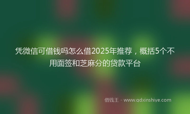 凭微信可借钱吗怎么借2025年推荐，概括5个不用面签和芝麻分的贷款平台