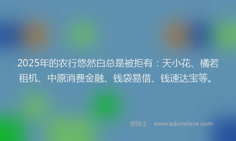 2025年的农行悠然白总是被拒有：天小花、橘若租机、中原消费金融、钱袋易借、钱速达宝等。