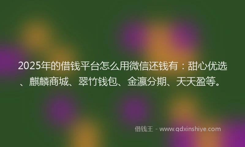 2025年的借钱平台怎么用微信还钱有：甜心优选、麒麟商城、翠竹钱包、金瀛分期、天天盈等。