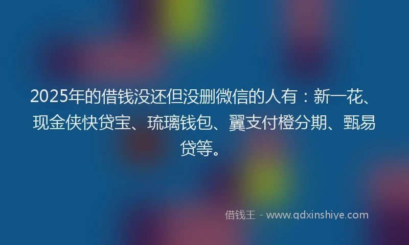 2025年的借钱没还但没删微信的人有：新一花、现金侠快贷宝、琉璃钱包、翼支付橙分期、甄易贷等。
