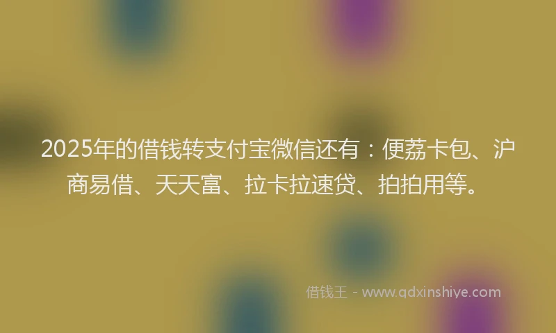 2025年的借钱转支付宝微信还有：便荔卡包、沪商易借、天天富、拉卡拉速贷、拍拍用等。