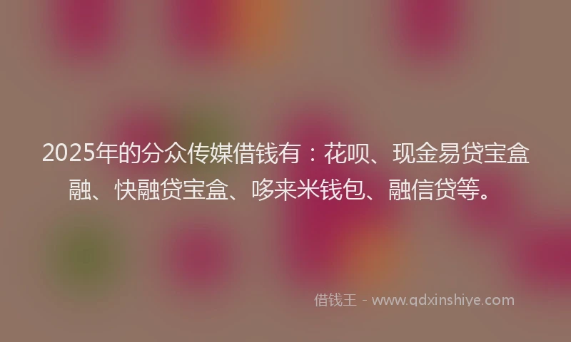 2025年的分众传媒借钱有：花呗、现金易贷宝盒融、快融贷宝盒、哆来米钱包、融信贷等。