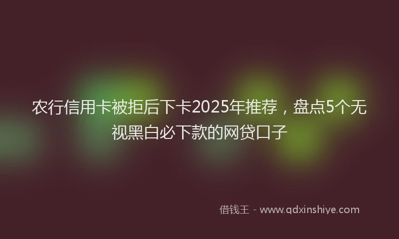 农行信用卡被拒后下卡2025年推荐，盘点5个无视黑白必下款的网贷口子