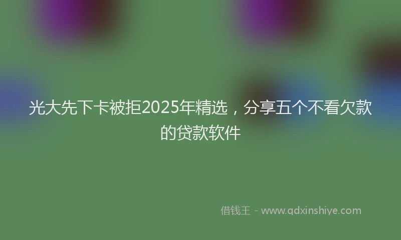 光大先下卡被拒2025年精选，分享五个不看欠款的贷款软件