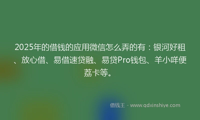 2025年的借钱的应用微信怎么弄的有：银河好租、放心借、易借速贷融、易贷Pro钱包、羊小咩便荔卡等。