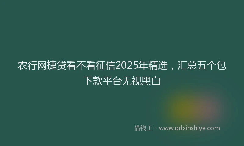 农行网捷贷看不看征信2025年精选，汇总五个包下款平台无视黑白