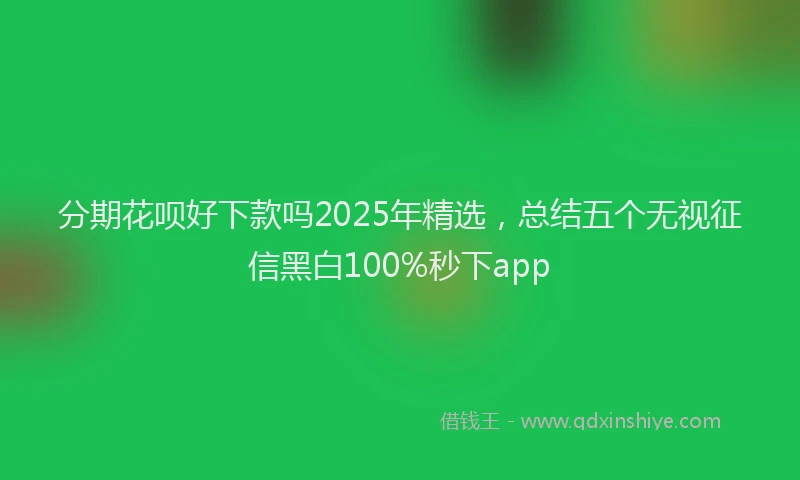 分期花呗好下款吗2025年精选，总结五个无视征信黑白100%秒下app