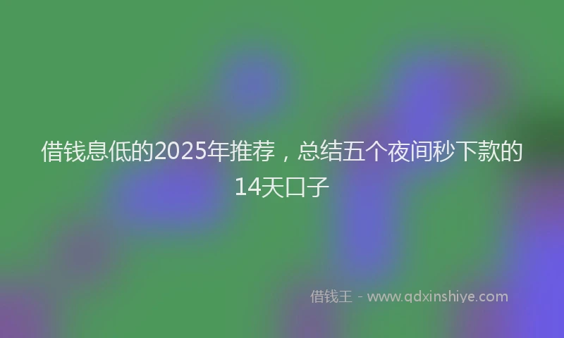 借钱息低的2025年推荐，总结五个夜间秒下款的14天口子
