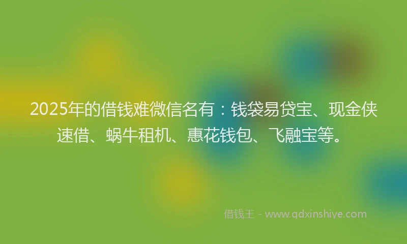 2025年的借钱难微信名有：钱袋易贷宝、现金侠速借、蜗牛租机、惠花钱包、飞融宝等。
