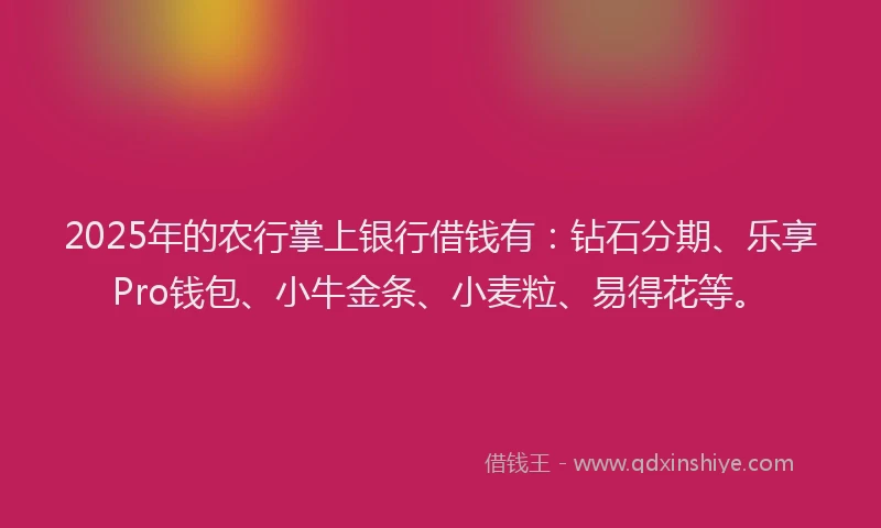 2025年的农行掌上银行借钱有：钻石分期、乐享Pro钱包、小牛金条、小麦粒、易得花等。