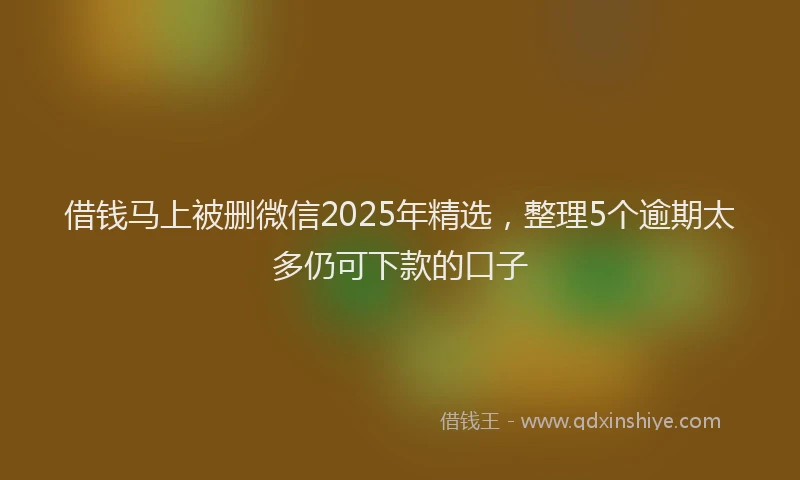 借钱马上被删微信2025年精选，整理5个逾期太多仍可下款的口子