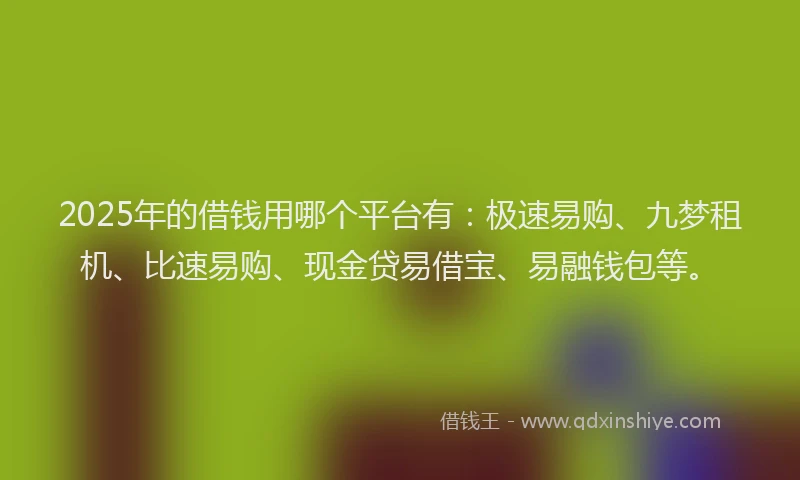 2025年的借钱用哪个平台有：极速易购、九梦租机、比速易购、现金贷易借宝、易融钱包等。
