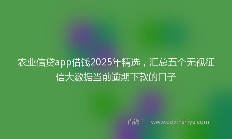 农业信贷app借钱2025年精选，汇总五个无视征信大数据当前逾期下款的口子