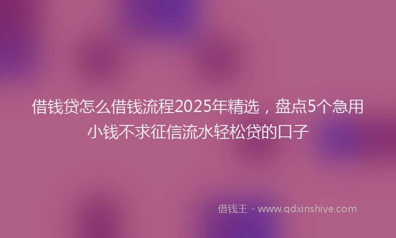 借钱贷怎么借钱流程2025年精选，盘点5个急用小钱不求征信流水轻松贷的口子