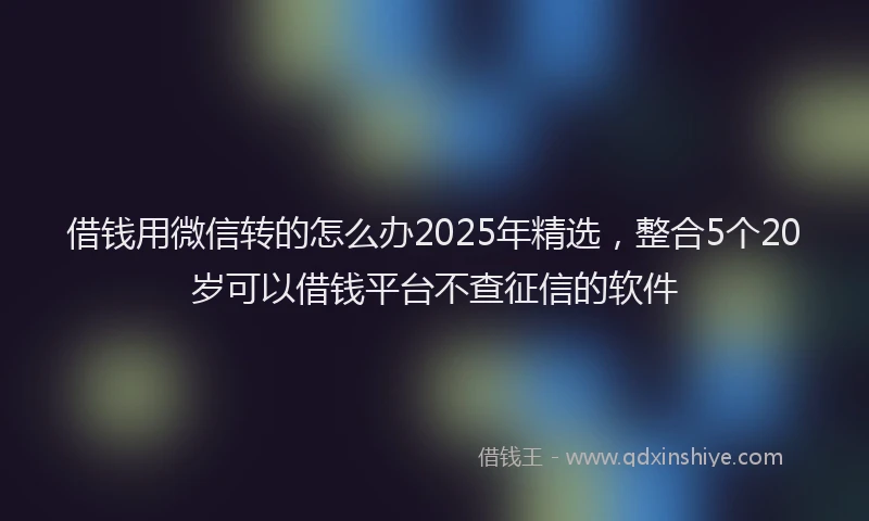 借钱用微信转的怎么办2025年精选，整合5个20岁可以借钱平台不查征信的软件