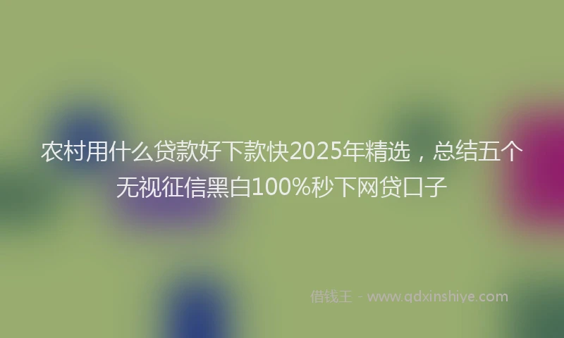 农村用什么贷款好下款快2025年精选，总结五个无视征信黑白100%秒下网贷口子