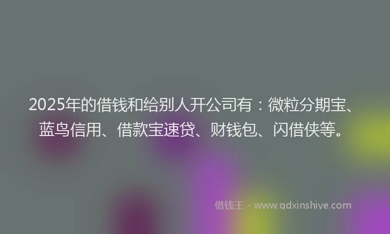 2025年的借钱和给别人开公司有：微粒分期宝、蓝鸟信用、借款宝速贷、财钱包、闪借侠等。
