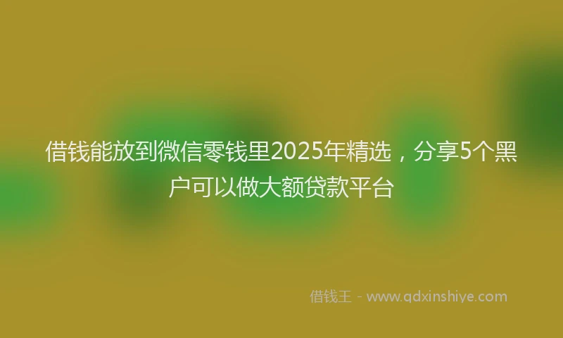 借钱能放到微信零钱里2025年精选，分享5个黑户可以做大额贷款平台