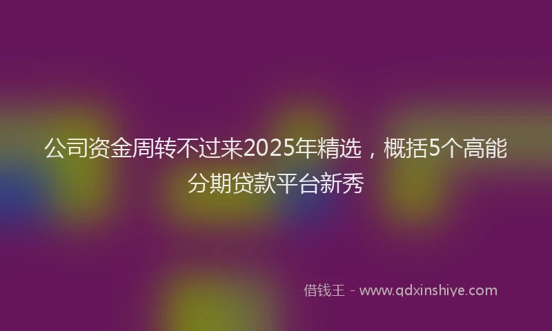 公司资金周转不过来2025年精选，概括5个高能分期贷款平台新秀