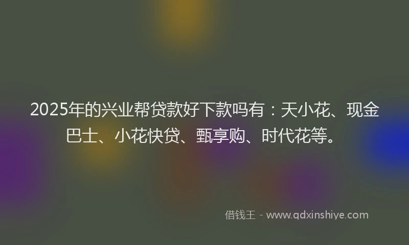 2025年的兴业帮贷款好下款吗有：天小花、现金巴士、小花快贷、甄享购、时代花等。