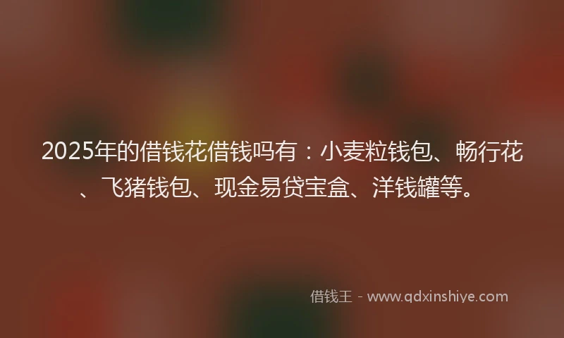 2025年的借钱花借钱吗有：小麦粒钱包、畅行花、飞猪钱包、现金易贷宝盒、洋钱罐等。