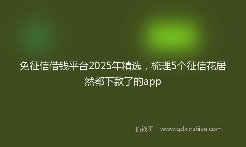 免征信借钱平台2025年精选，梳理5个征信花居然都下款了的app