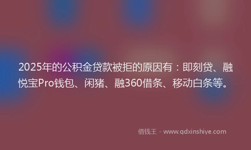 2025年的公积金贷款被拒的原因有：即刻贷、融悦宝Pro钱包、闲猪、融360借条、移动白条等。