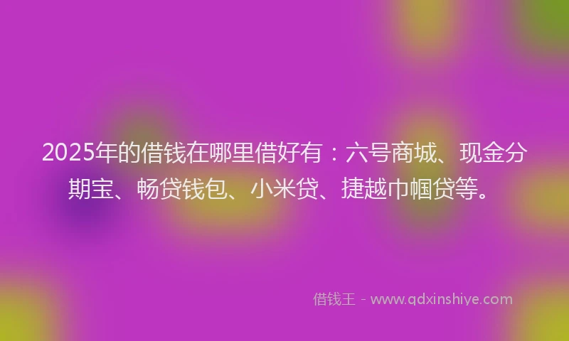 2025年的借钱在哪里借好有：六号商城、现金分期宝、畅贷钱包、小米贷、捷越巾帼贷等。